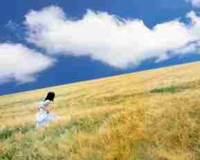 专﻿业‌SEO工‍具​工﻿具‍